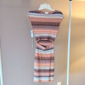 Aritzia Wilford Free Cutout Knit Mini In A Terracotta Mocha Color NWT